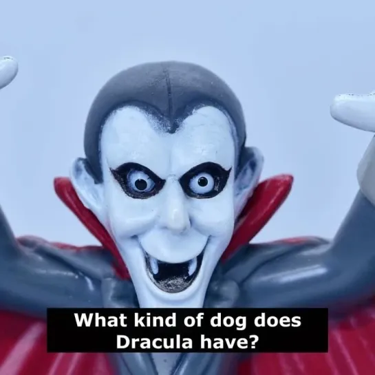 Шутки на английском языке: What kind of dog does Dracula have?