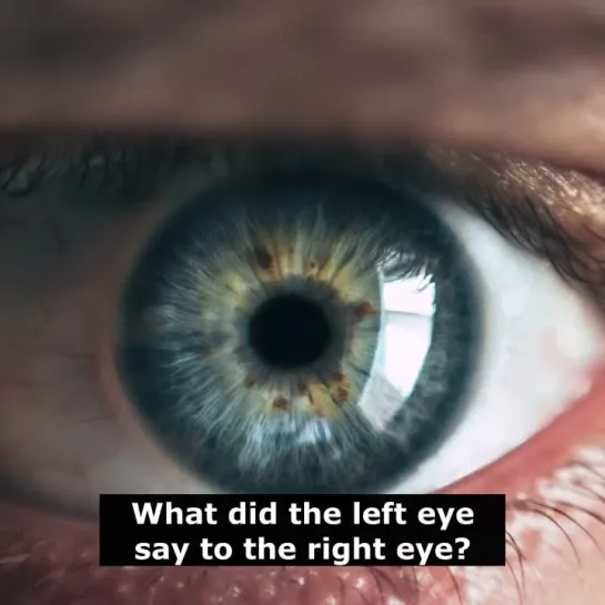 Шутки на английском языке: What did the left eye say to the right eye?