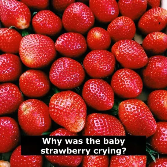 Шутки на английском языке: Why was the baby strawberry crying?