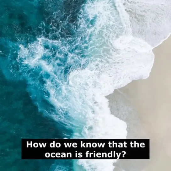 Шутки на английском языке: How do we know that the ocean is friendly?