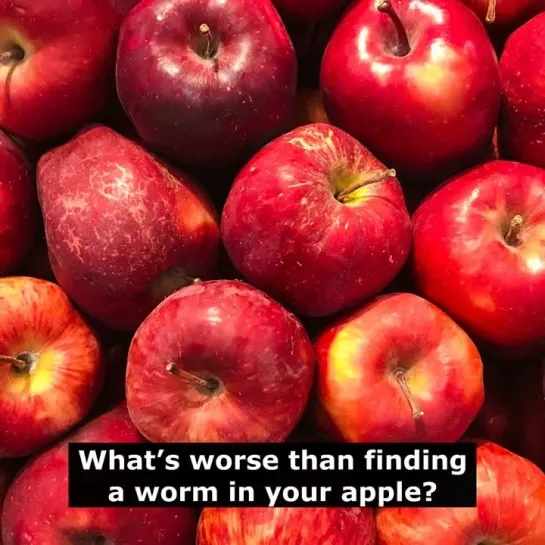 Шутки на английском языке: What’s worse than finding a worm in your apple?