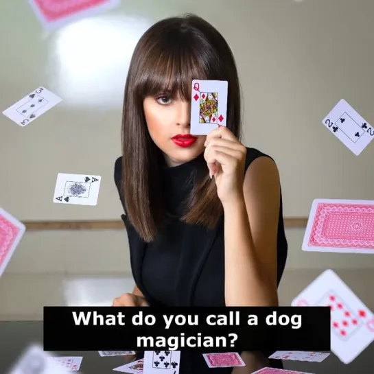 Шутки на английском языке: What do you call a dog magician?