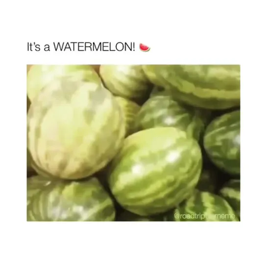 WATERMELOOOOOON!!!