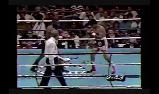 Pernell Whitaker vs. Jose Luis Ramirez II