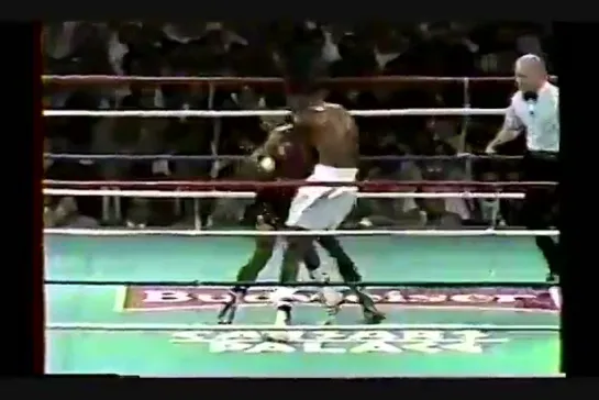 1988-07-28 Michael Nunn vs Frank Tate (IBF middleweight title)