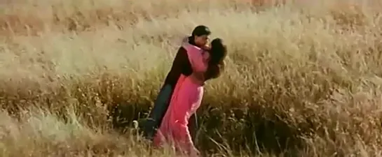 Hum Tumhare Hai Sanam