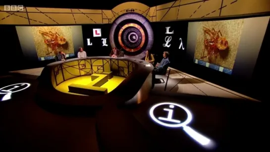 QI XL 12x08 - Lovely