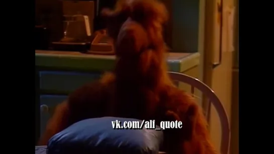 Alf Quote Season 1 Episode 21 - - AlfTrevor