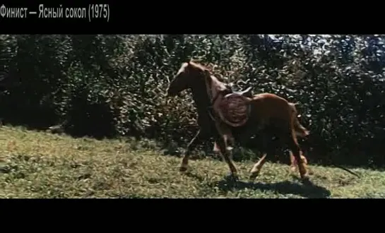 Финист – Ясный сокол (1975) DVDRip-AVC - KORSAR