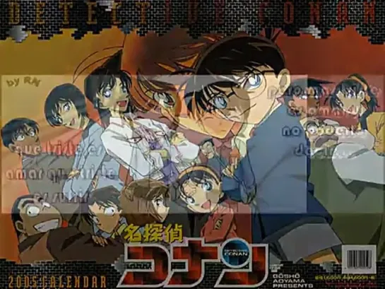 Shinichi y Ran~The Reason~