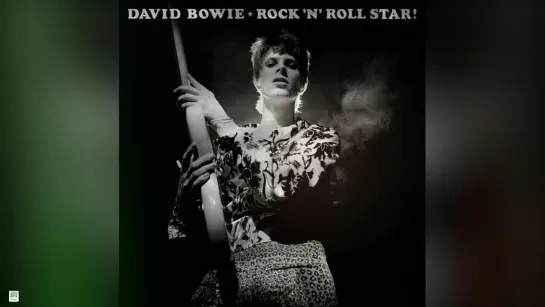 2024 • David Bowie — Rock n Roll Star! 1