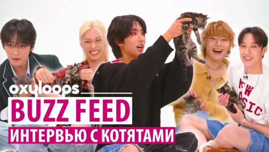 Buzz Feed｜Интервью Stray Kids с котятами [рус.саб]