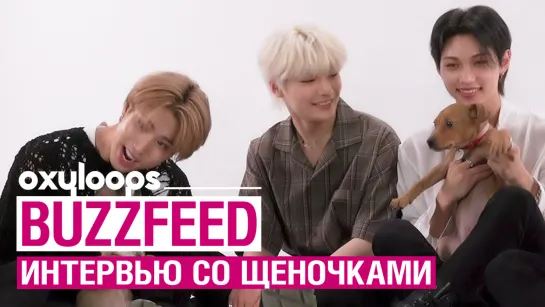 Stray Kids BuzzFeed | интервью со щенками [рус. саб]