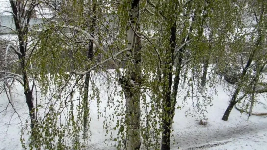 Харьков сегодня 19.04.2017.