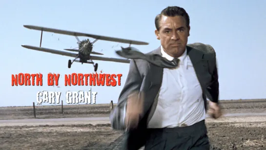 Cary Grant (North by Northwest, 1959)