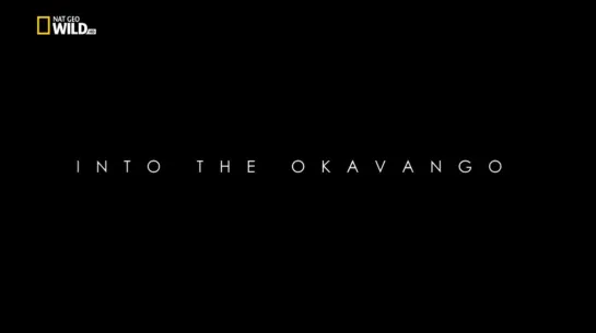 Вдоль по Окаванго / Into the Okavango (2018)