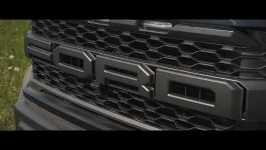 D3 FORD RAPTOR. А разговоров то было....