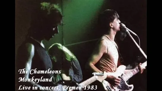 The CHAMELEONS ~ Monkeyland (Live in Bremen - 1983)