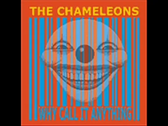 The Chameleons - Shades