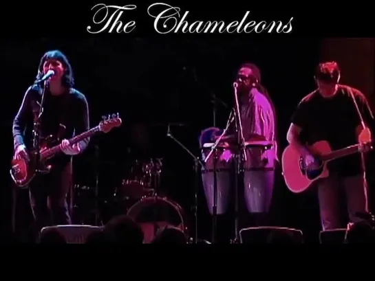 The Chameleons - Pleasure and Pain