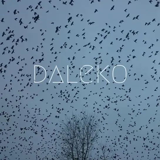 daleko