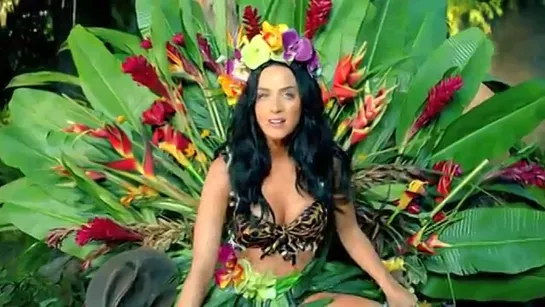 Katty Perry- Roar