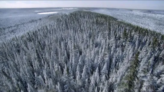 Сальваторе Адамо. Падает Снег.