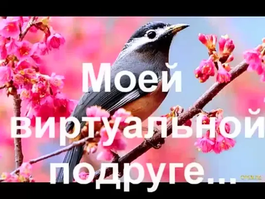 2012 Full Version Svetic Cosmo _ Красивая музыка о нежности и любви (Арабатский конь)