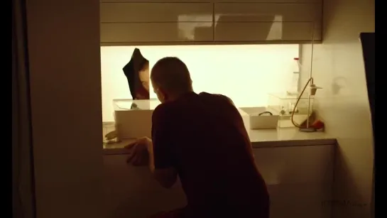 "High Life" - new clip