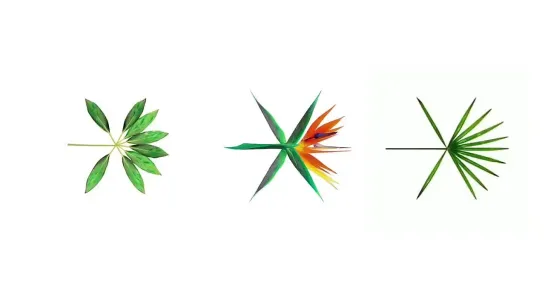 EXO - Summer Love #kokobop