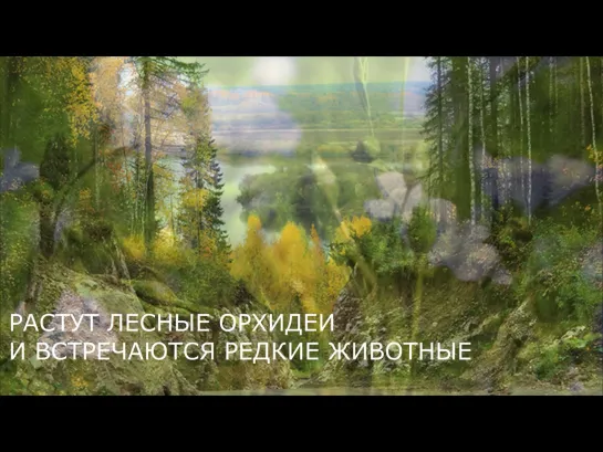 Литературная экспедиция «Да здравствует туризм и жажда путешествий!»