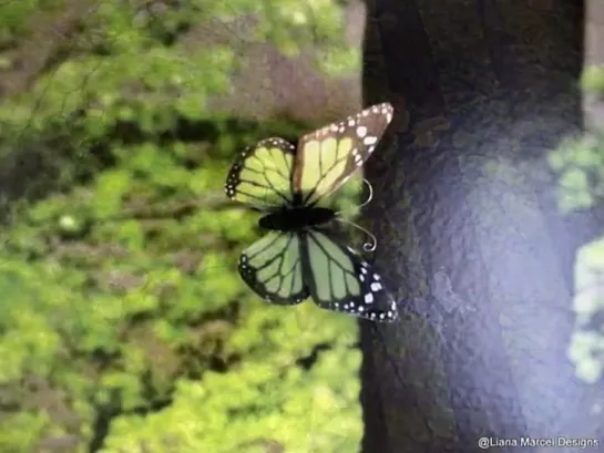 Making wall butterflies from paper. Бабочка.