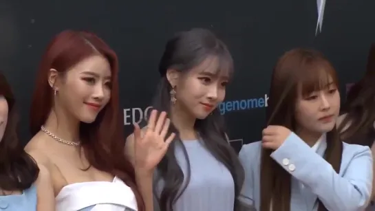 190609 lovelyz on asia model awards red carpet