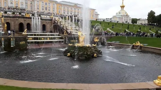 Поездка в Петергоф