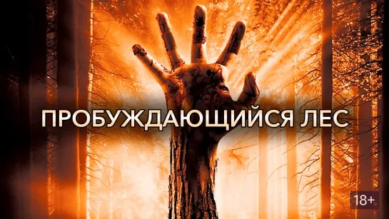 Пробуждающийся лес / Wake Wood (2009)