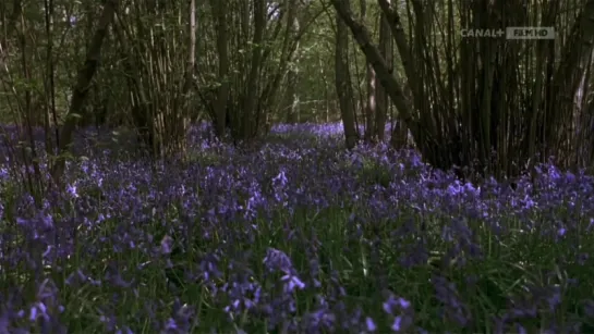 Таинственный сад/The Secret Garden (1993) Трейлер