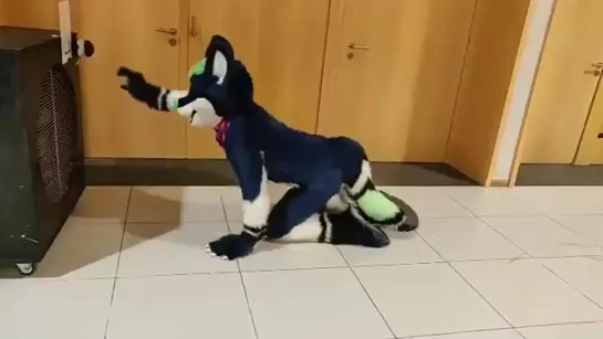 This is how you give a hot fursuiter