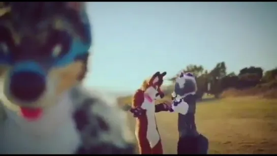 Furry Distracted Boyfriend [fursuit]