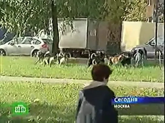 Проститься по-человечески (НТВ, 24.09.2007)