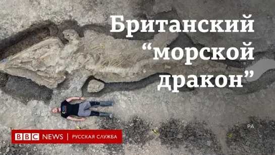 Ратлендский "морской дракон". В Британии обнаружили останки древнего рыбоящера