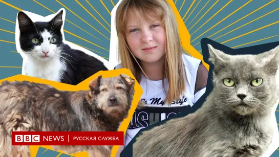 Как 13-летняя девочка спасает брошенных питомцев