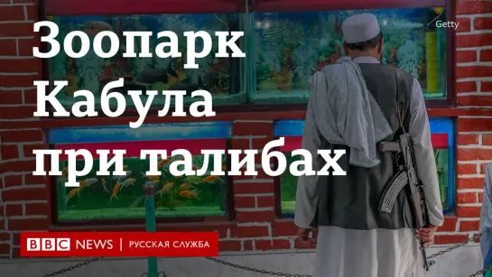 Как изменился зоопарк в Кабуле при талибах. Видео