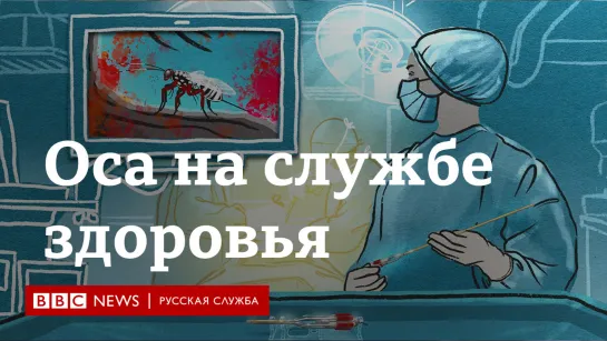 Оса вдохновила ученых на создание нового инструмента для операций