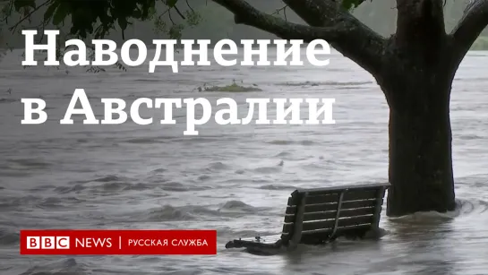 Плывущий дом и спасение коров: сильнейшее за полвека наводнение в Австралии