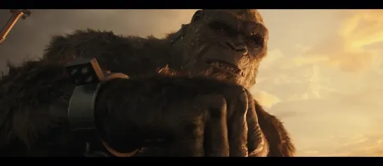 Godzilla.Vs.Kong  ---  subtitrare  in  romana