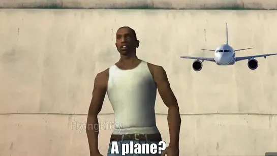 the plane