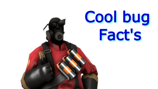 [SilentManJoe] Cool Bug Fact's with Pyro