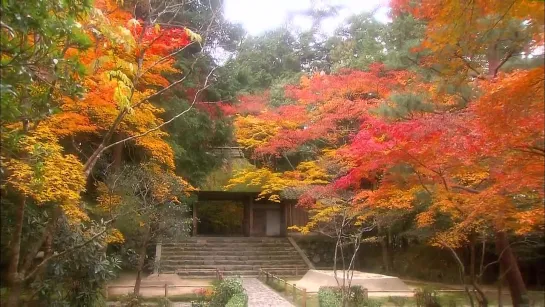 ***Kyoto Autumn Color/Осенний цвет Киото***(Япония)*