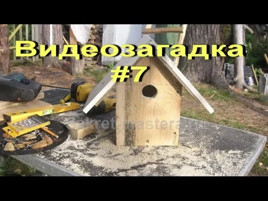 #7 Видеозагадка. Кто расширил входные отверстия? Who expanded the entrance holes?