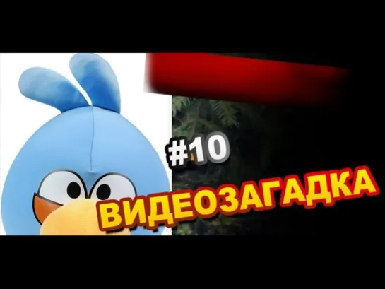 Видеозагадка # 10 Что за Птица?  Video Riddle # 10 What Kind of Bird?